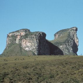 kameel berg Chapada Diamantina Brazilie