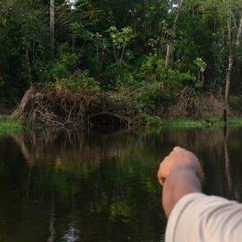 Amazone boot excursie, Brazilie