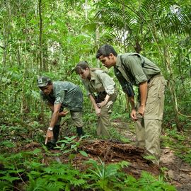 Wandelen in de jungle nabij de Cristalino Lodge, Zuidelijke Amazone