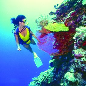 Snorkelen bij Angra dos Reis in Brazilie