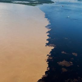 Meeting of the waters Manaus Brazilie