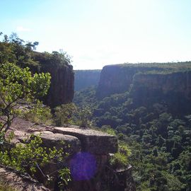 landschap Chapada do Guimaraes Brazilie