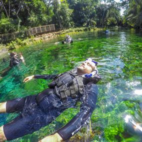 River snorkeling Nascente Azul Bonito