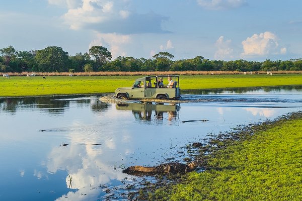 Reisinspiratie 7620 v2 - 13-daagse natuurreis Noord Pantanal, Porto Jofre en Atlantisch Regenwoud, mei 2027