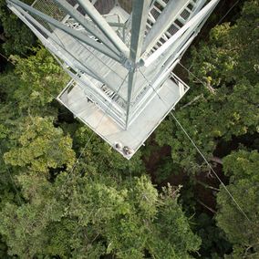 Observatie toren van de Cristalino Lodge, Zuidelijke Amazone in Brazilie