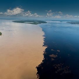 Meeting of the Waters in Manaus Brazilie