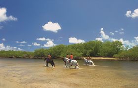 paardrijden Porto de Galinhas Brazilie