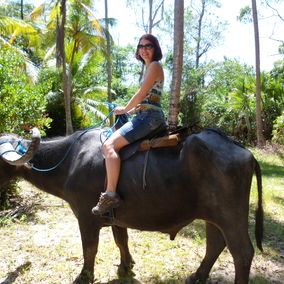 Ilha do marajo Buffel tocht