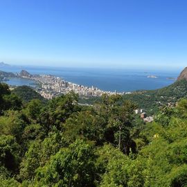 Vista chinesa tijuca regenwoud rio de janeiro