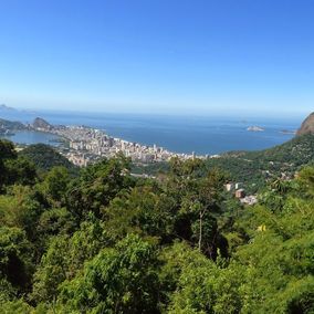 Vista chinesa tijuca regenwoud rio de janeiro