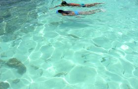Snorkelen Maceio Brazilie