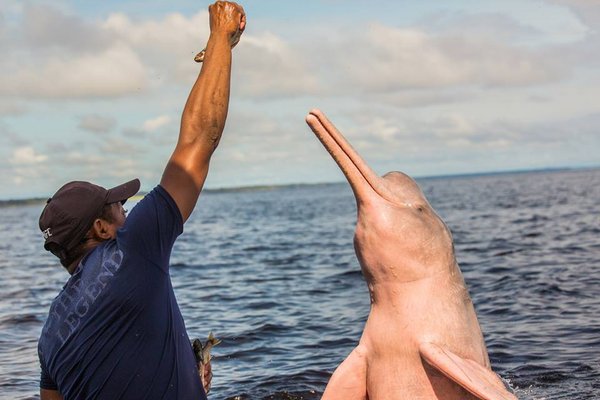 Luxe natuurrondreis Brazilië: Rio, Amazone & Pantanal | 21 dagen | Reisinspiratie 7697 v2