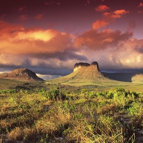 Kameel tafelberg Chapada Diamantina Brazilie