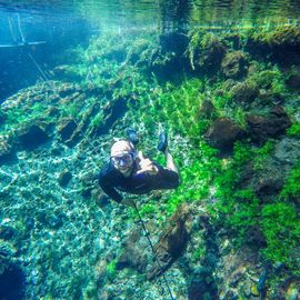 River snorkeling Nascente Azul Bonito