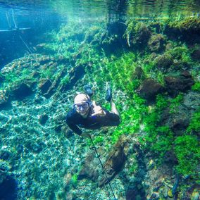 River snorkeling Nascente Azul Bonito