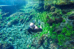 River snorkeling Nascente Azul Bonito