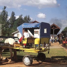 koetstocht tiradentes Brazilie