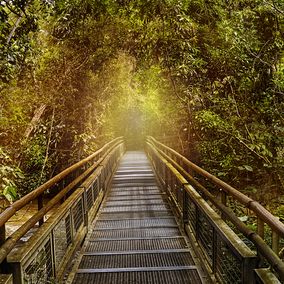 Foz do Iguacu falls hiking trail