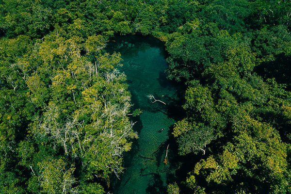 Familierondreis Brazilië juli 2027: Rio, Bonito & Zuidelijke Pantanal | 14 dagen | Reisinspiratie 7717