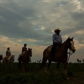 Paardrijden in Bonito Brazilie
